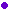 circle06_purple.gif